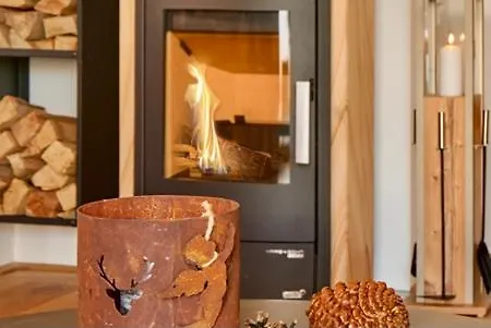 Mountain A10 Apartment Tauplitz