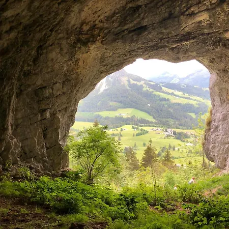 Mountain A10 Apartment Tauplitz